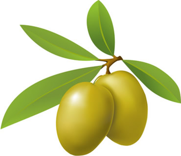 Grčke masline Top